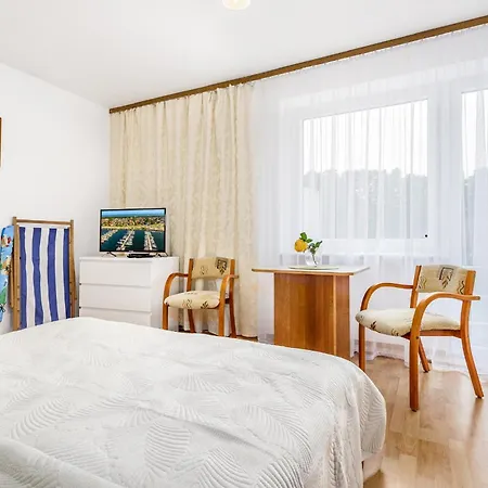 Muszelka Przy Morzu *