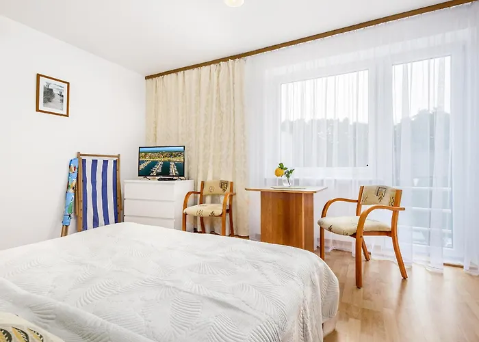 Muszelka Przy Morzu *